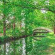 ヒメ日記 2025/05/22 15:36 投稿 せら 熟女家 京橋店