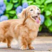 ヒメ日記 2025/06/11 14:06 投稿 せら 熟女家 京橋店