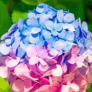 ヒメ日記 2025/06/26 02:36 投稿 せら 熟女家 京橋店