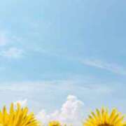 ヒメ日記 2025/07/03 02:36 投稿 せら 熟女家 京橋店