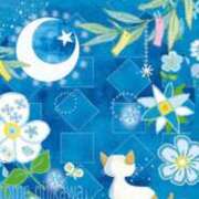 ヒメ日記 2025/07/07 02:28 投稿 せら 熟女家 京橋店