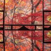 ヒメ日記 2025/11/25 21:46 投稿 せら 熟女家 京橋店