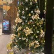 ヒメ日記 2025/12/01 17:56 投稿 せら 熟女家 京橋店