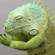 ヒメ日記 2025/12/08 18:46 投稿 せら 熟女家 京橋店