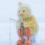 ヒメ日記 2026/01/31 03:46 投稿 せら 熟女家 京橋店