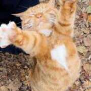 ヒメ日記 2026/03/24 16:12 投稿 せら 熟女家 京橋店