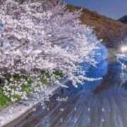 ヒメ日記 2026/03/31 17:36 投稿 せら 熟女家 京橋店