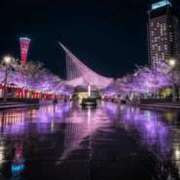 ヒメ日記 2026/04/14 03:26 投稿 せら 熟女家 京橋店