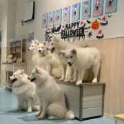 ヒメ日記 2025/10/06 12:31 投稿 れむ ラブリップ大宮店