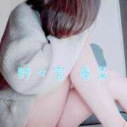 ヒメ日記 2025/12/03 15:10 投稿 野々宮 春菜 30代40代50代と遊ぶなら博多人妻専科24時