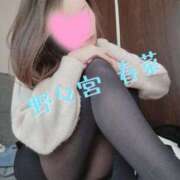 ヒメ日記 2025/12/29 04:04 投稿 野々宮 春菜 30代40代50代と遊ぶなら博多人妻専科24時