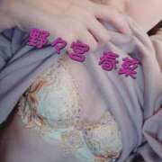 ヒメ日記 2026/02/14 12:48 投稿 野々宮 春菜 30代40代50代と遊ぶなら博多人妻専科24時