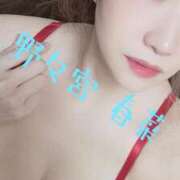 ヒメ日記 2026/02/20 09:16 投稿 野々宮 春菜 30代40代50代と遊ぶなら博多人妻専科24時