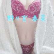ヒメ日記 2026/03/18 07:51 投稿 野々宮 春菜 30代40代50代と遊ぶなら博多人妻専科24時