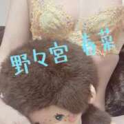 ヒメ日記 2026/04/27 08:17 投稿 野々宮 春菜 30代40代50代と遊ぶなら博多人妻専科24時