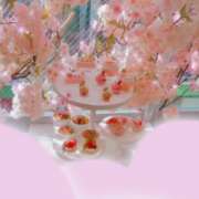 ヒメ日記 2025/03/26 10:34 投稿 こころ ラ・タンゴ