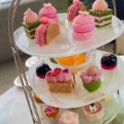 ヒメ日記 2026/03/26 18:10 投稿 こころ ラ・タンゴ