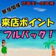 ヒメ日記 2024/12/30 13:06 投稿 紬(つむぎ) 人妻城 横浜本店