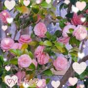 ヒメ日記 2024/12/26 01:50 投稿 ゆうか エディーズ