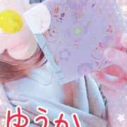 ヒメ日記 2025/04/06 15:02 投稿 ゆうか エディーズ