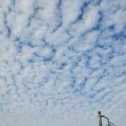 ヒメ日記 2025/06/07 07:24 投稿 ゆうか エディーズ