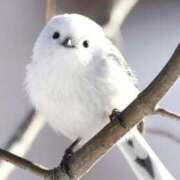 ヒメ日記 2025/06/22 08:08 投稿 ゆうか エディーズ