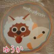 ヒメ日記 2025/12/04 10:16 投稿 ゆうか エディーズ