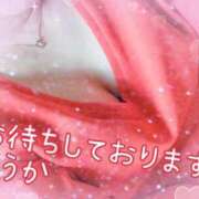 ヒメ日記 2026/01/27 09:16 投稿 ゆうか エディーズ