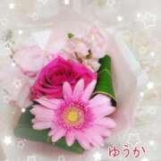 ヒメ日記 2026/02/01 08:15 投稿 ゆうか エディーズ