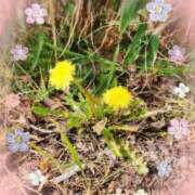 ゆうか 2/15朝日記 エディーズ