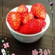 ヒメ日記 2026/02/24 07:26 投稿 ゆうか エディーズ