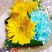 ヒメ日記 2026/04/13 15:56 投稿 ゆうか エディーズ