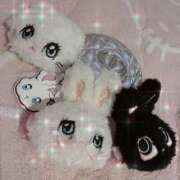 ヒメ日記 2025/11/18 13:28 投稿 らら ぷにぷにプリンセス