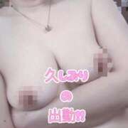 ヒメ日記 2025/04/14 00:28 投稿 ももか 脱がされたい人妻 木更津店