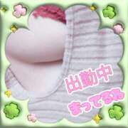 ヒメ日記 2025/04/22 12:41 投稿 ももか 脱がされたい人妻 木更津店