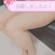 ヒメ日記 2025/04/25 11:40 投稿 ももか 脱がされたい人妻 木更津店