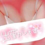 ヒメ日記 2025/10/02 09:46 投稿 ひなこ 大宮おかあさん