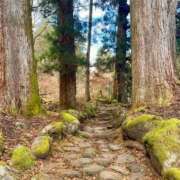 ヒメ日記 2024/12/21 10:19 投稿 のあ sweet kiss