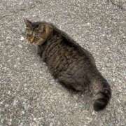 ヒメ日記 2025/02/22 10:09 投稿 のあ sweet kiss