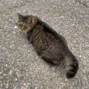 ヒメ日記 2025/06/14 10:49 投稿 のあ sweet kiss