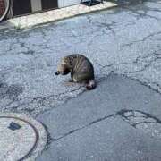 ヒメ日記 2025/07/11 10:59 投稿 のあ sweet kiss