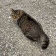 ヒメ日記 2025/10/13 23:29 投稿 のあ sweet kiss