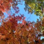 ヒメ日記 2025/11/03 09:46 投稿 のあ sweet kiss