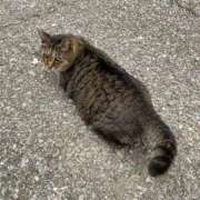 ヒメ日記 2025/11/13 10:29 投稿 のあ sweet kiss