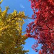 ヒメ日記 2025/11/27 10:59 投稿 のあ sweet kiss