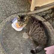 ヒメ日記 2026/02/10 23:49 投稿 のあ sweet kiss