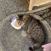 ヒメ日記 2026/02/27 08:09 投稿 のあ sweet kiss