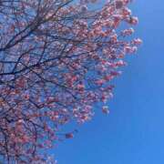 のあ 3/7金曜日 sweet kiss