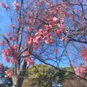 ヒメ日記 2026/03/07 11:09 投稿 のあ sweet kiss