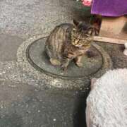 ヒメ日記 2026/04/14 23:39 投稿 のあ sweet kiss